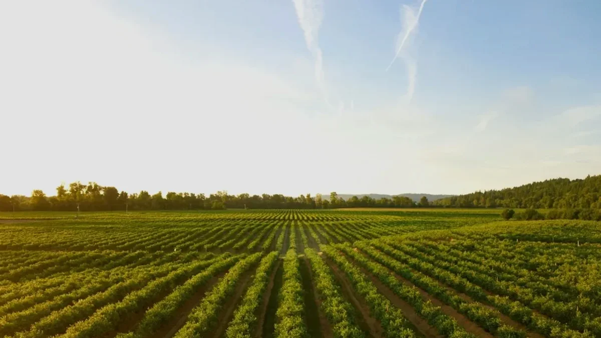 Sanesul investe R$ 26,4 milhões para proteger captação de água do Rio Paraguai em Corumbá