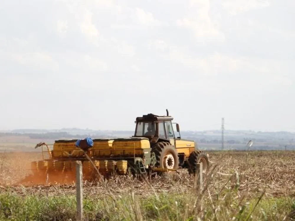 Biodiesel exigirá de MS expansão de soja em área do tamanho de Campo Grande