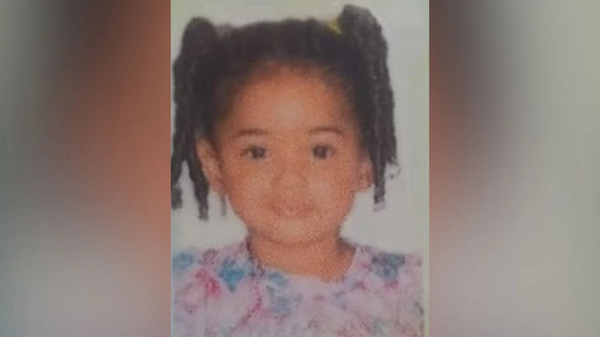 'Lesões na cabeça, nádegas e pernas', relata delegada sobre morte de criança de 4 anos em Porto Alegre